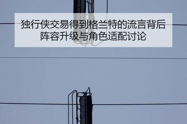 独行侠交易得到格兰特的流言背后 阵容升级与角色适配讨论